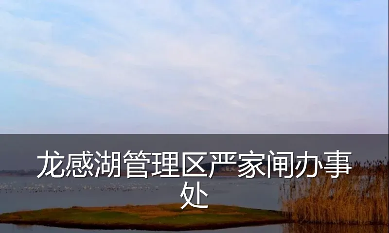 龙感湖管理区严家闸办事处
