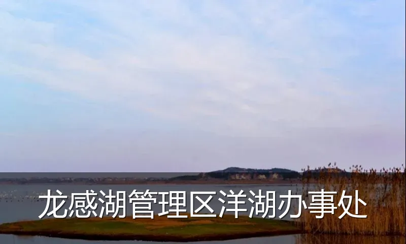 龙感湖管理区洋湖办事处