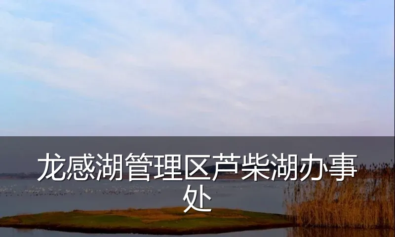 龙感湖管理区芦柴湖办事处