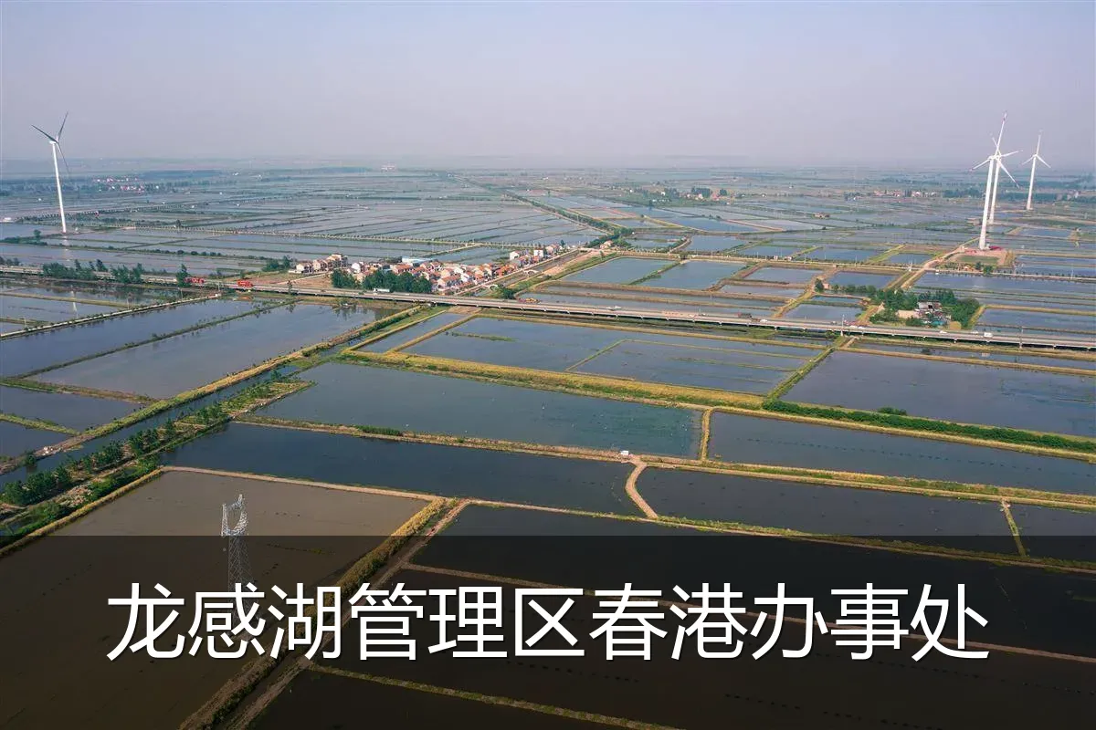 龙感湖管理区春港办事处