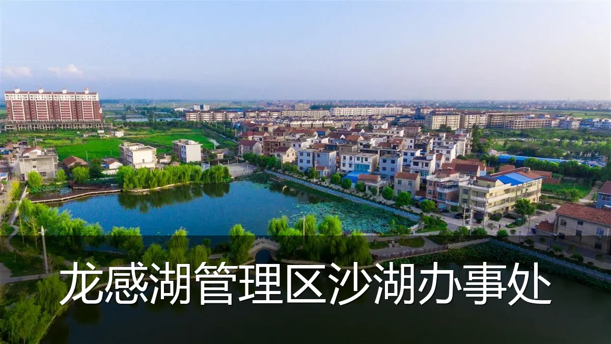 龙感湖管理区沙湖办事处