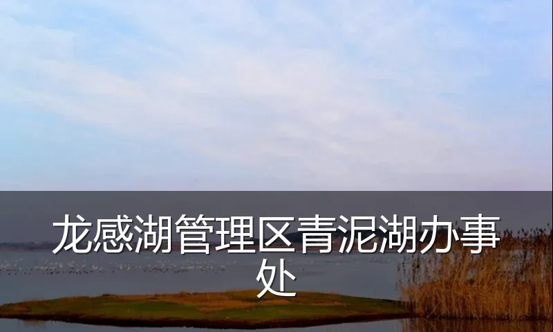 龙感湖管理区青泥湖办事处